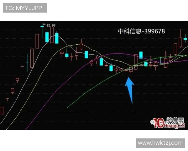 重庆网球队协作分析与战术配合研究的深度探讨 重庆网球队协作分析与战术配合研究的深度探讨