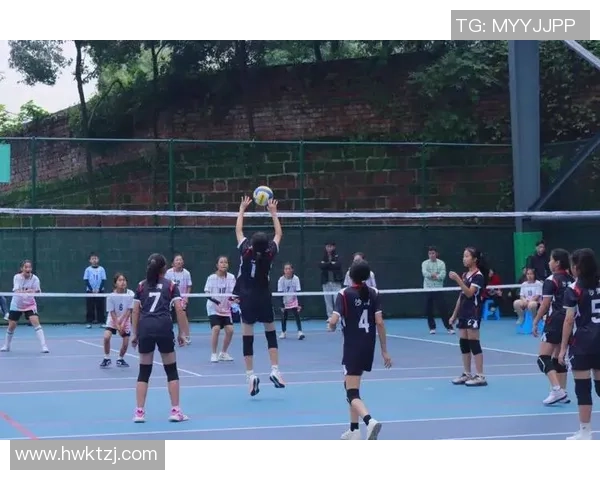 南京排球队大师赛精彩配合展现团队精神与战术默契