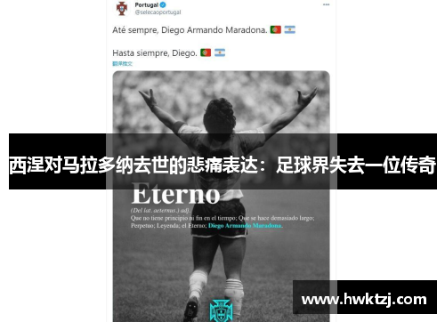 西涅对马拉多纳去世的悲痛表达：足球界失去一位传奇