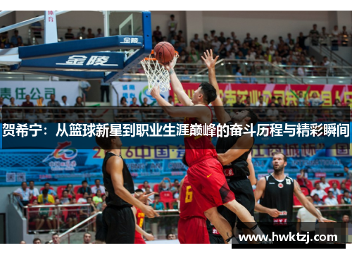 贺希宁：从篮球新星到职业生涯巅峰的奋斗历程与精彩瞬间